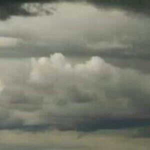 Meet your Posher, Calin si ligia